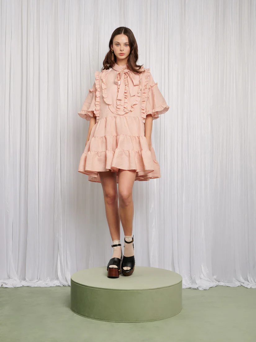 Frou Frou Mini Dress - Image 2