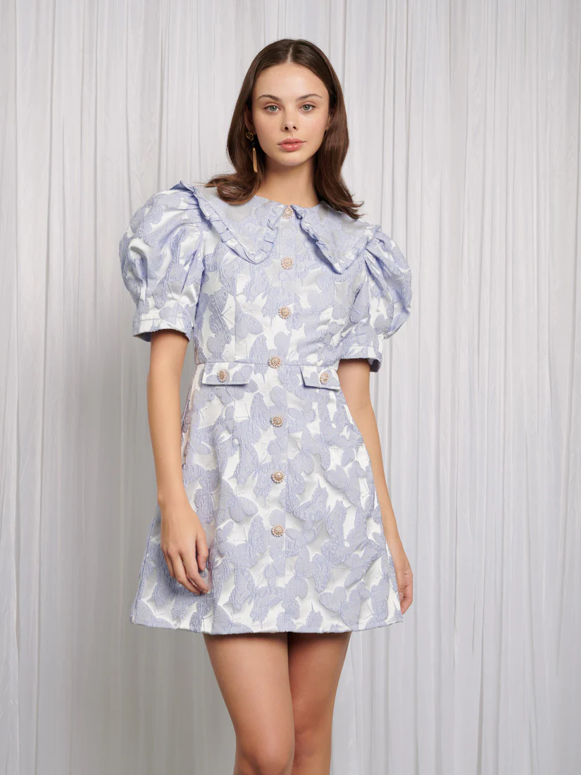Lacewing Mini Dress