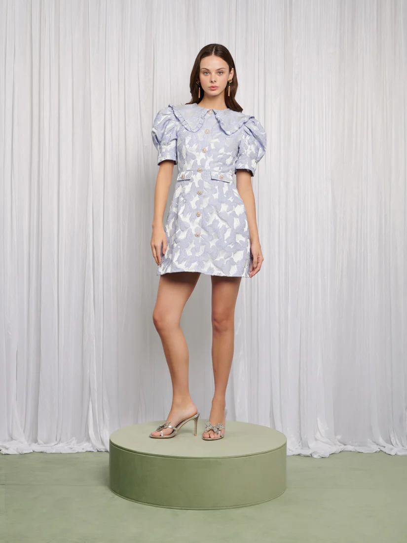 Lacewing Mini Dress - Image 2